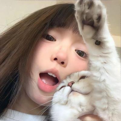 神鹰之拳